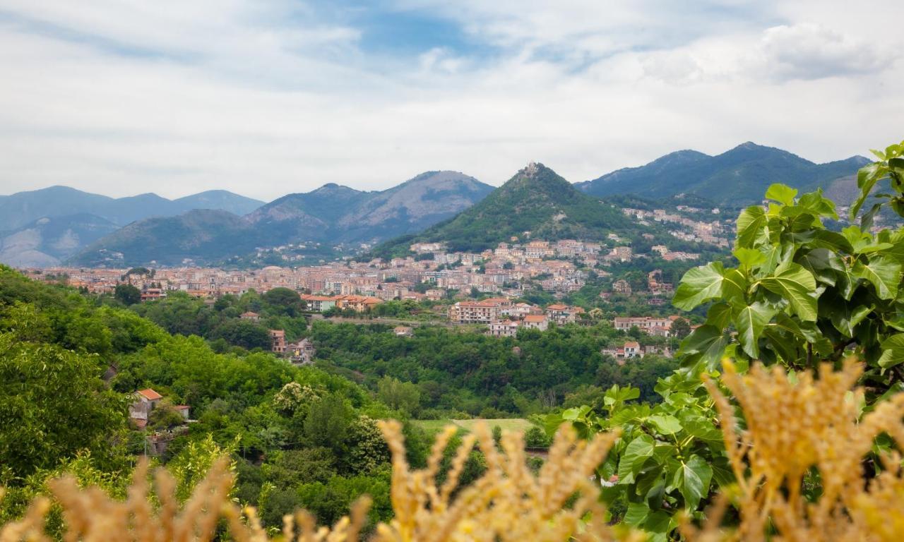 Casa La Terrazza Villa Vietri Екстериор снимка